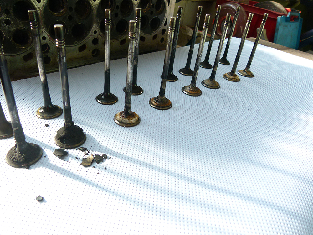 motor